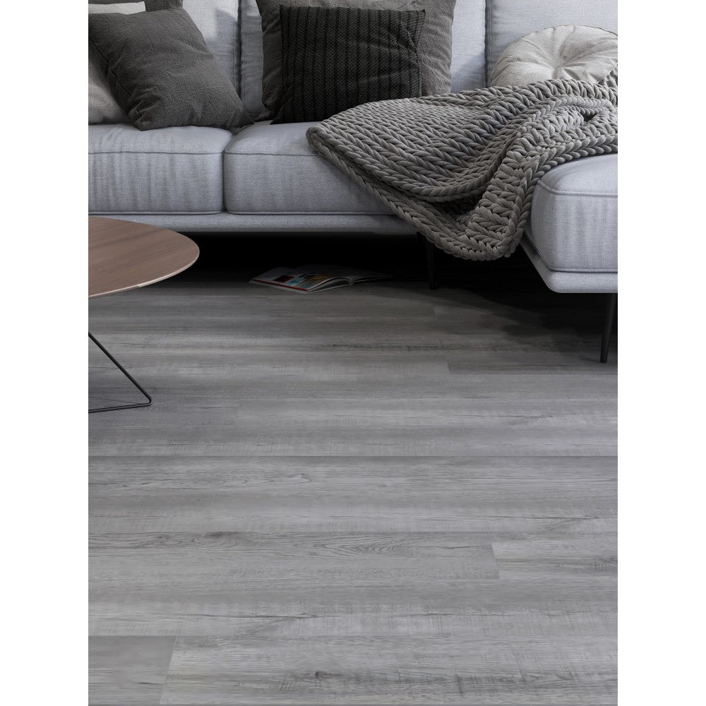 Koala, Collection Luxo, Vynil clic spc